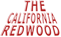 THE  CALIFORNIA REDWOOD